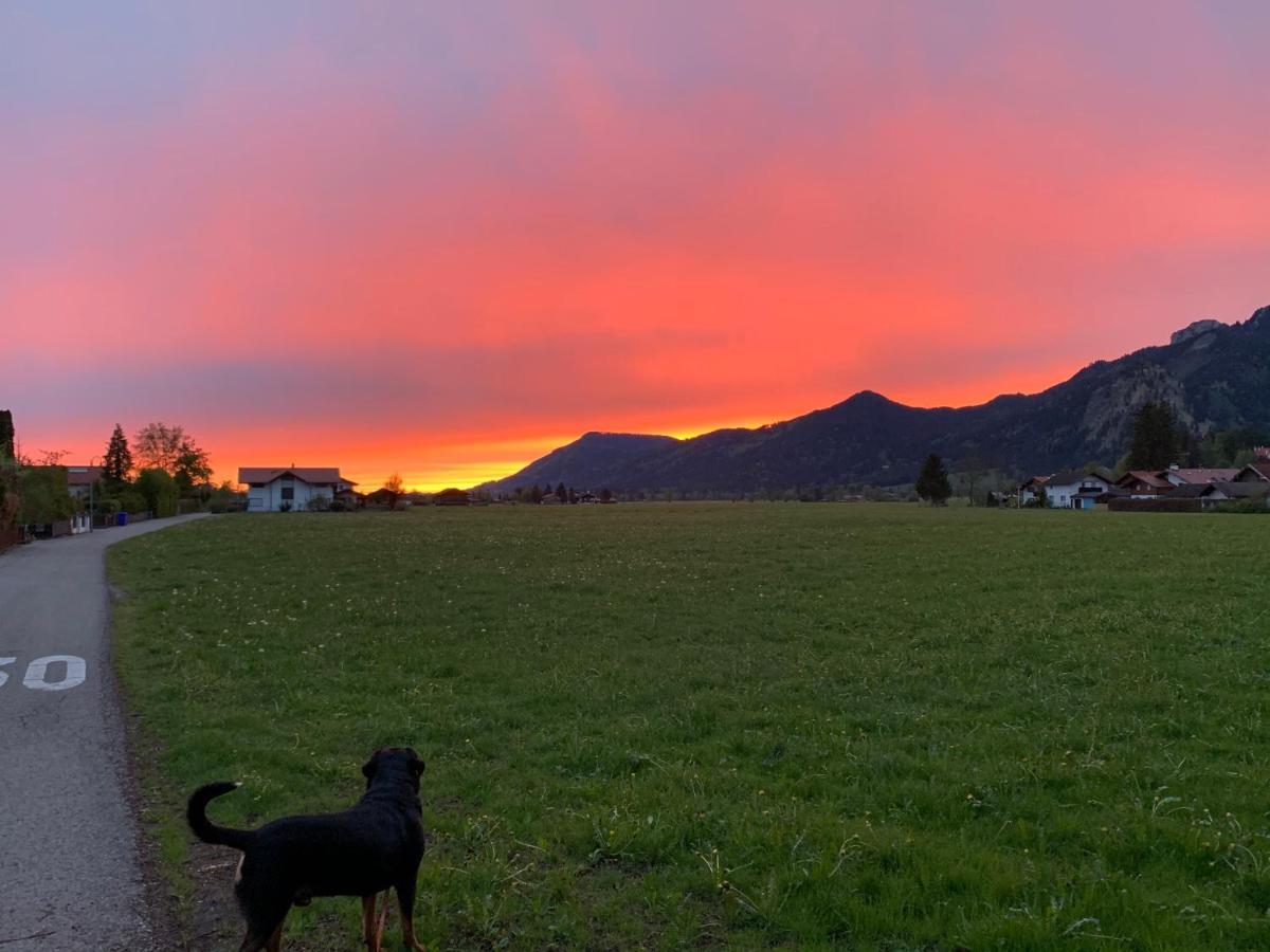 Haus Am Kienberg Daire Schwangau Dış mekan fotoğraf