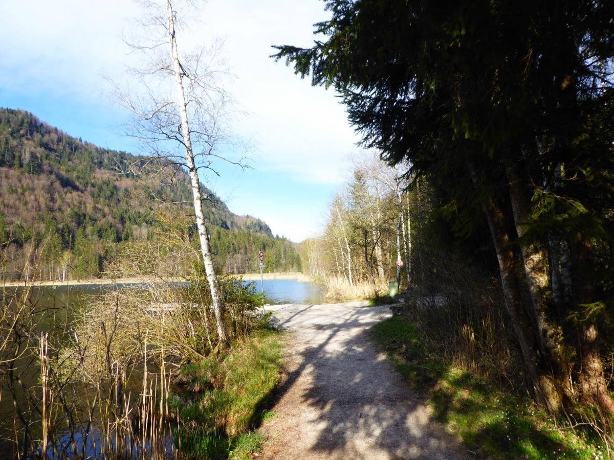Haus Am Kienberg Daire Schwangau Dış mekan fotoğraf